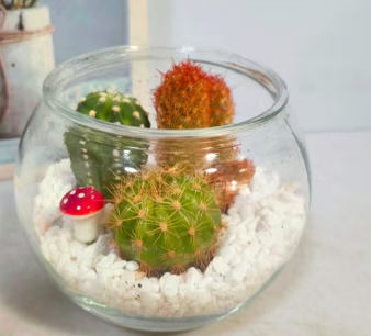 кактус Ексквуисите Гласс Арт 9 10