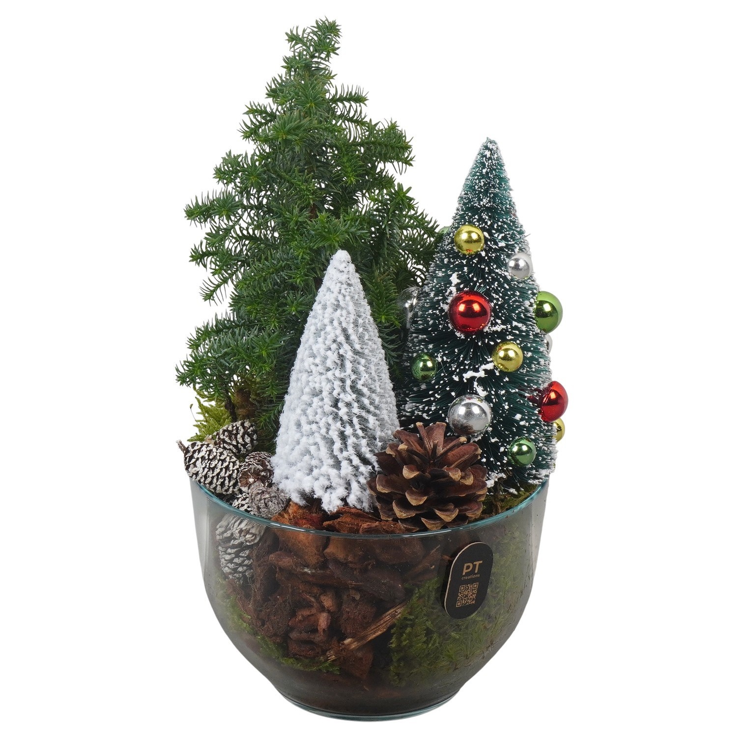 PTCWW7743 Arrangement Winter in glas schaal, D 13