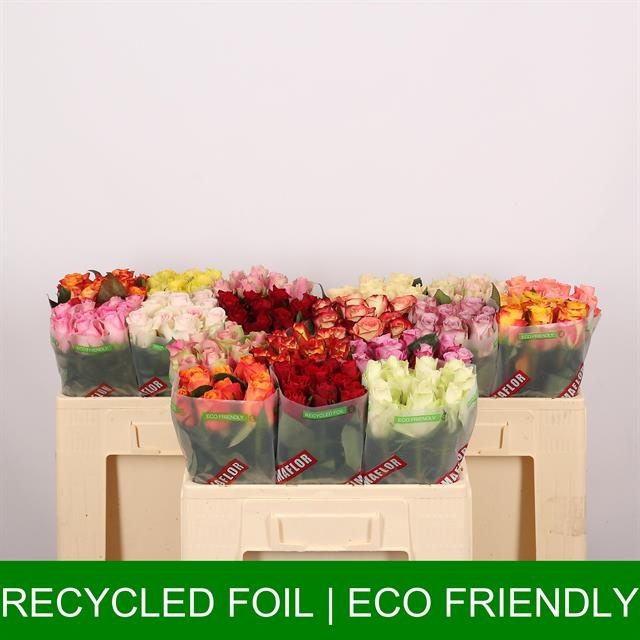 Роза од. Микс в баке 50, шт.