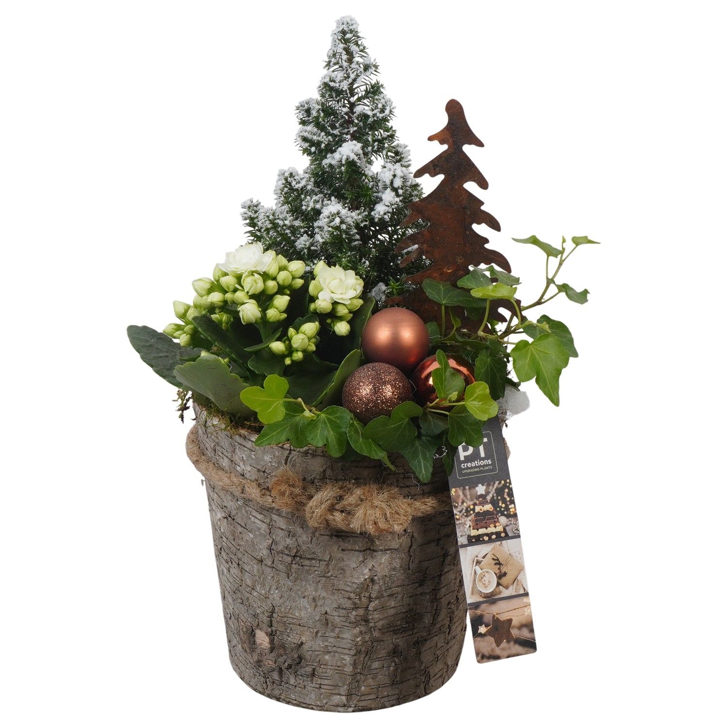 PTCHB9809 Arrangement Christmas Bronze in houten pot, D 15 cm
