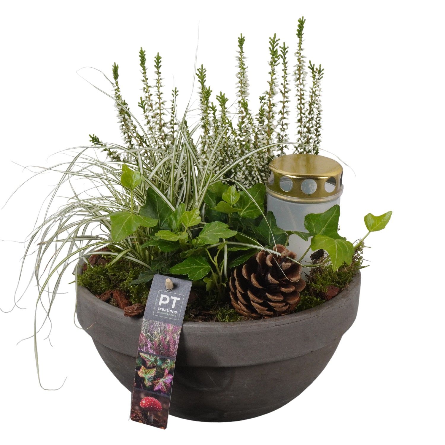 PTAH8639 Arrangement Allerheiligen in terracotta schaal, D 23 cm PTAH8639 Arrangement Allerheiligen in terracotta schaal, D 23 cm