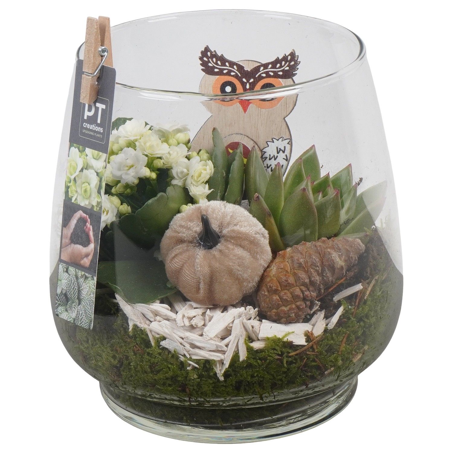 PTHG3386 Arrangement Autumn Glass in glas vaas, D 16 cm PTHG3386 Arrangement Autumn Glass in glas vaas, D 16 cm