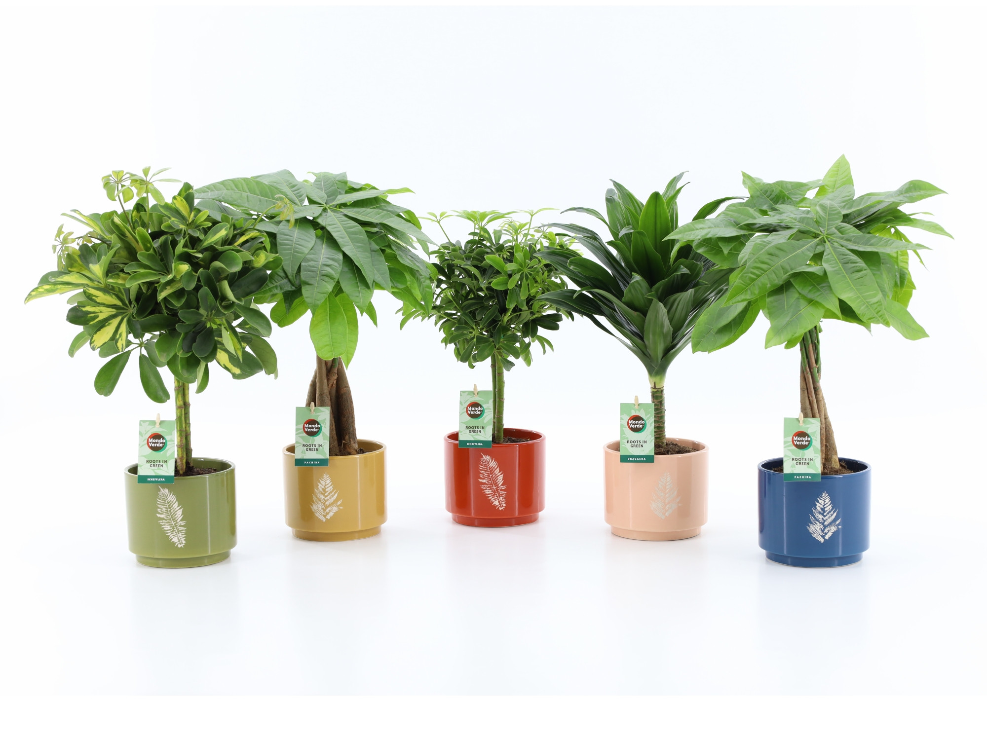 Stammenmix in Artistique Keramiek, D 13