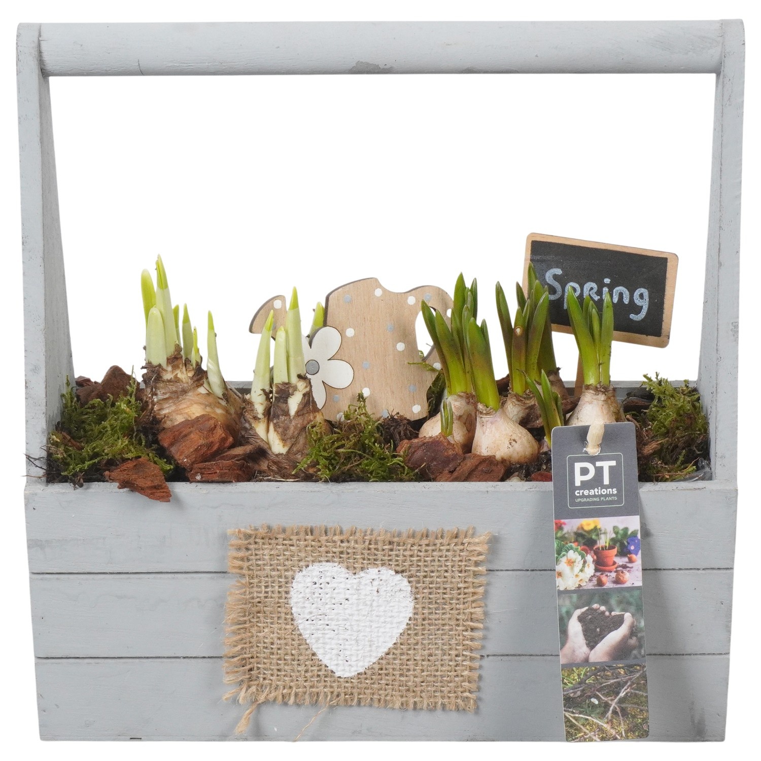 PTBM3919 Arrangement Flower Bulbs Mix in houten rechthoek pot, D 25