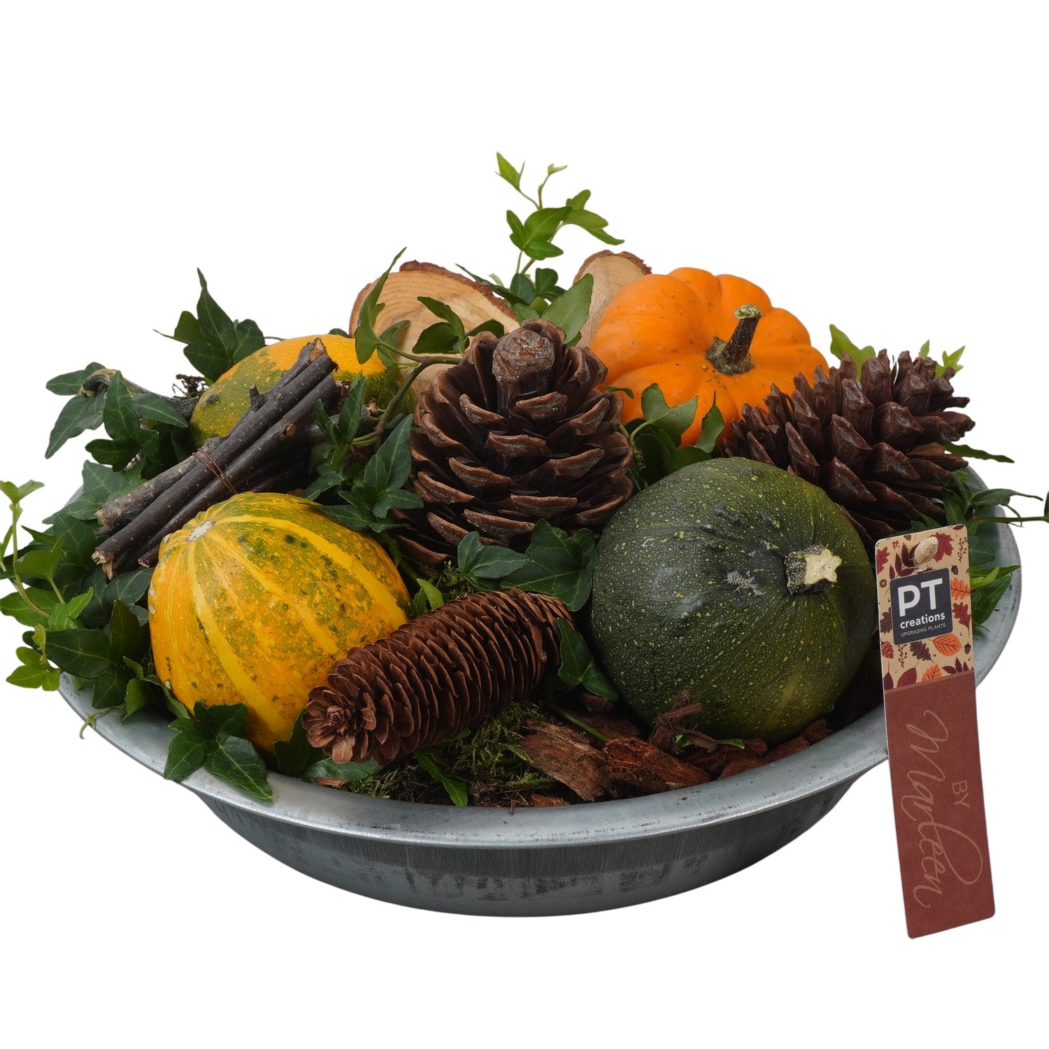 PTSF8212 Arrangement Kalebas hedera in metalen schaal, D 29 cm