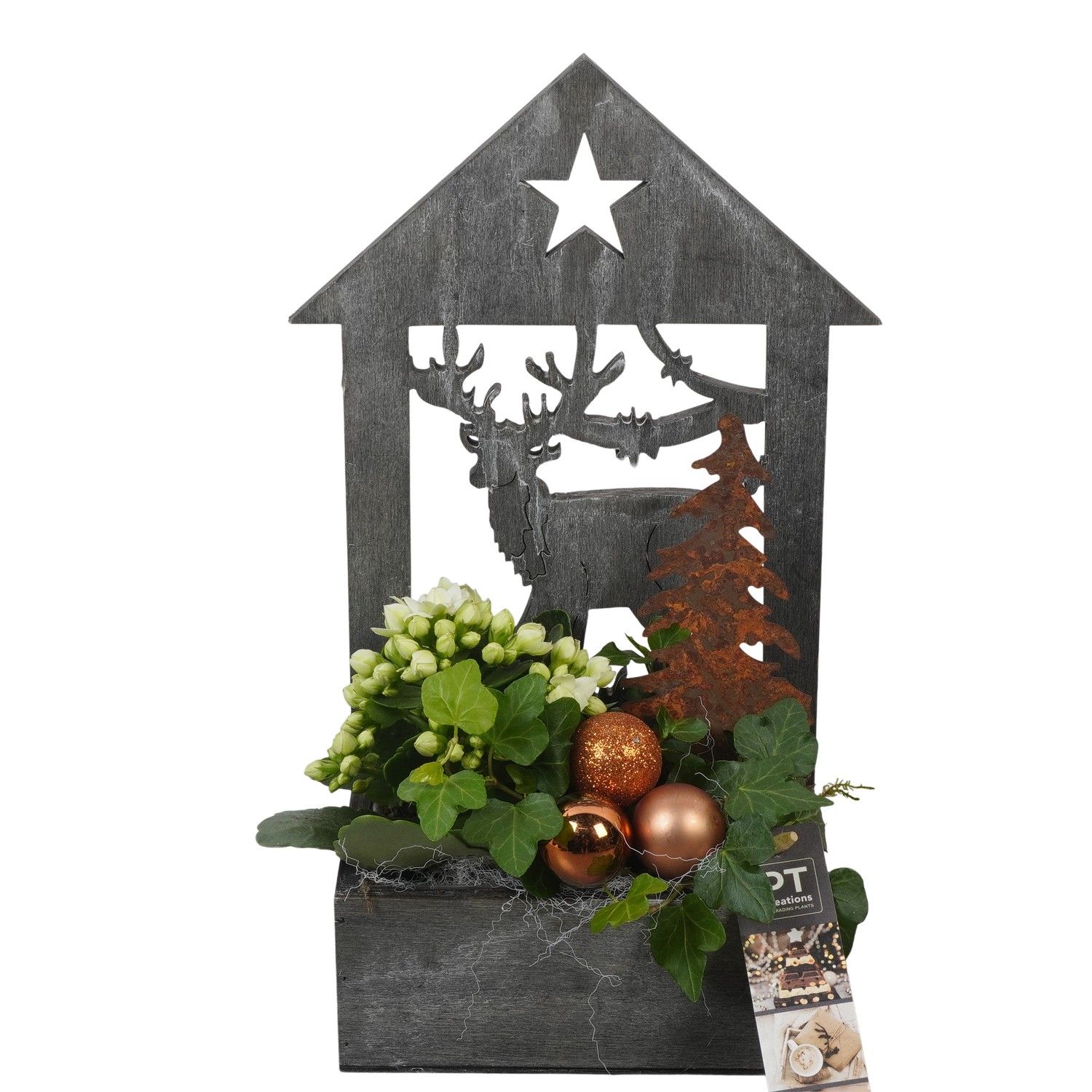 PTCHB9820 Arrangement Christmas Bronze in houten bak, D 16 cm