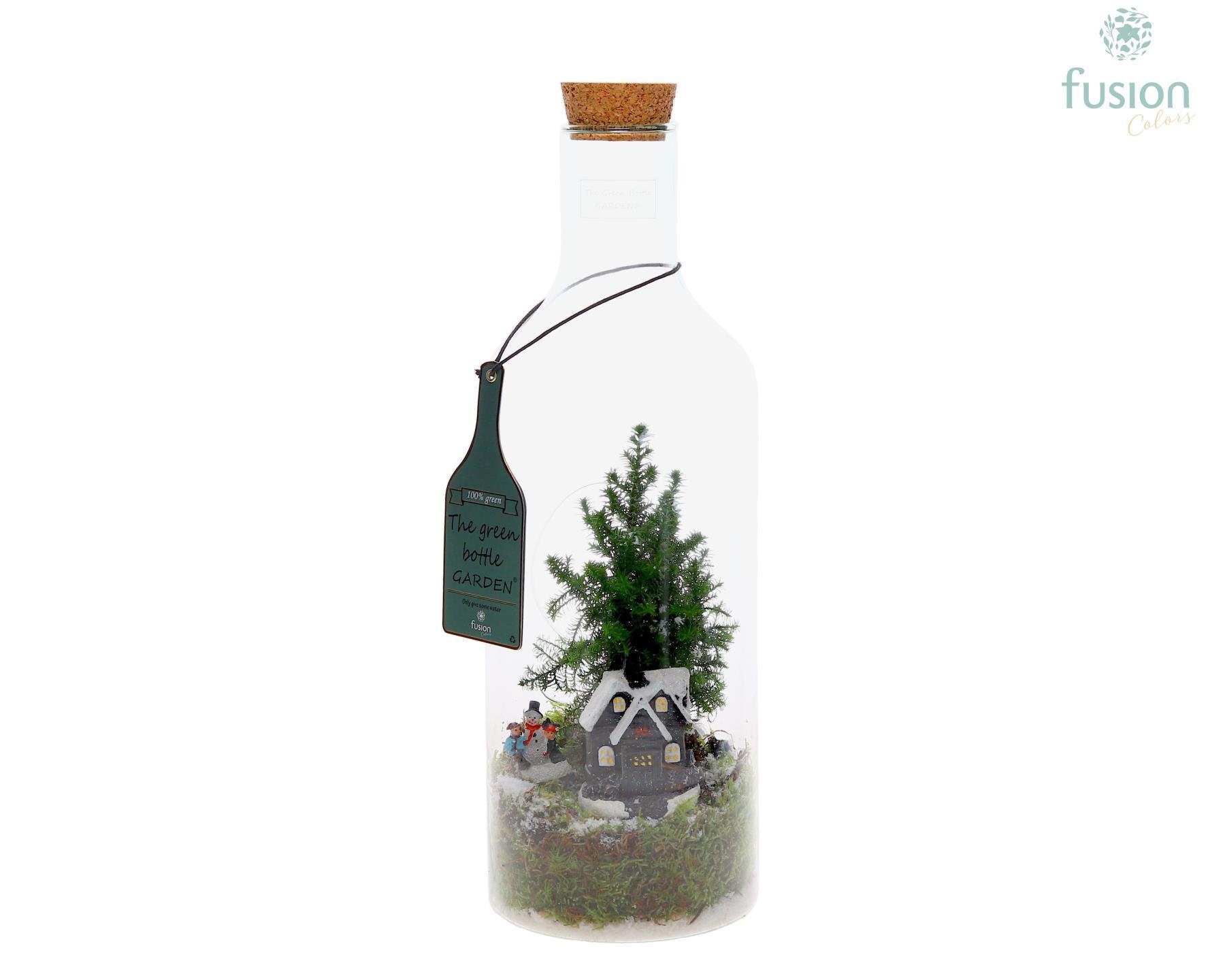 Green Bottlefles M met Chamaecyparis, D 15