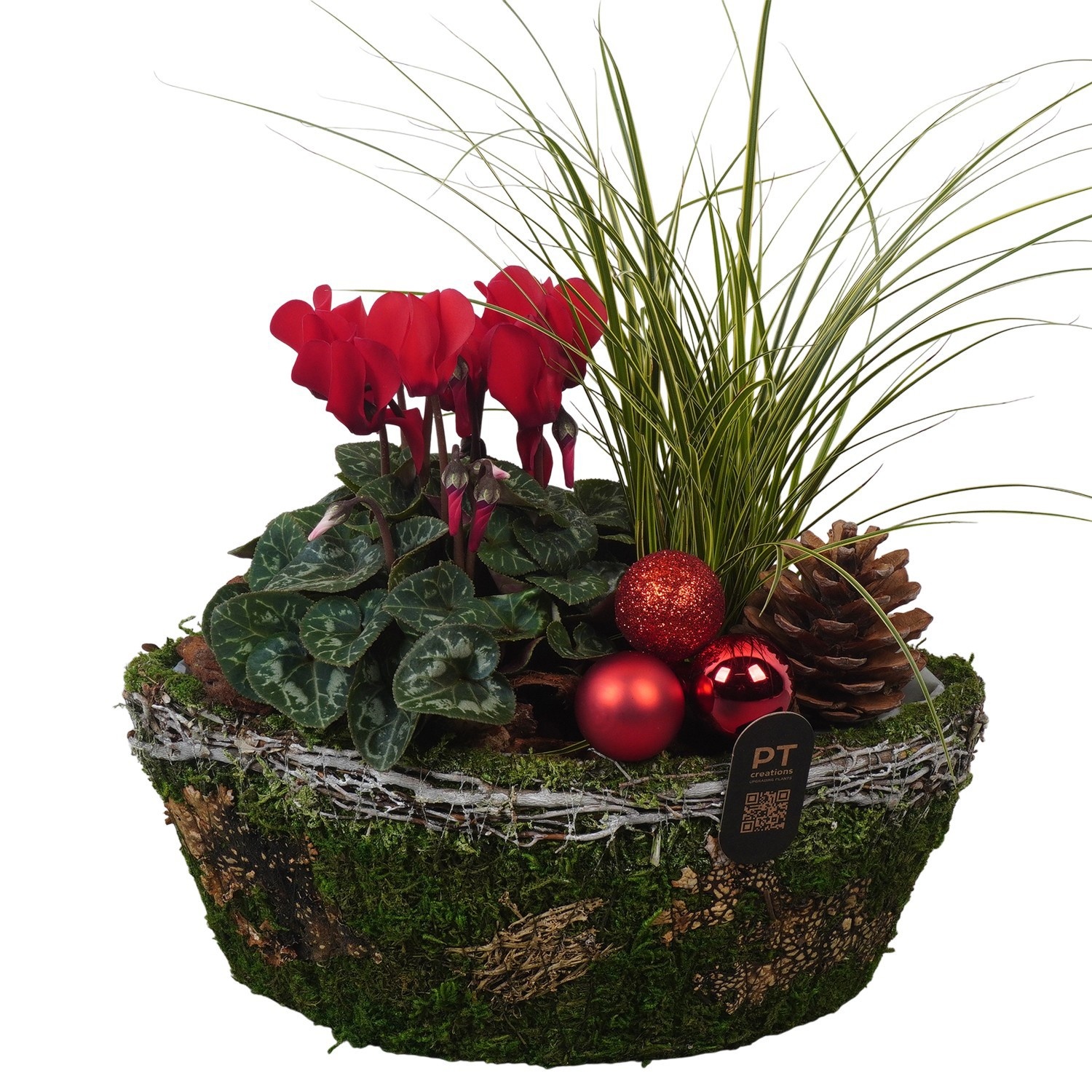 PTCHO5475 Arrangement Christmas Outdoor in mos pot in bootvorm, D 25