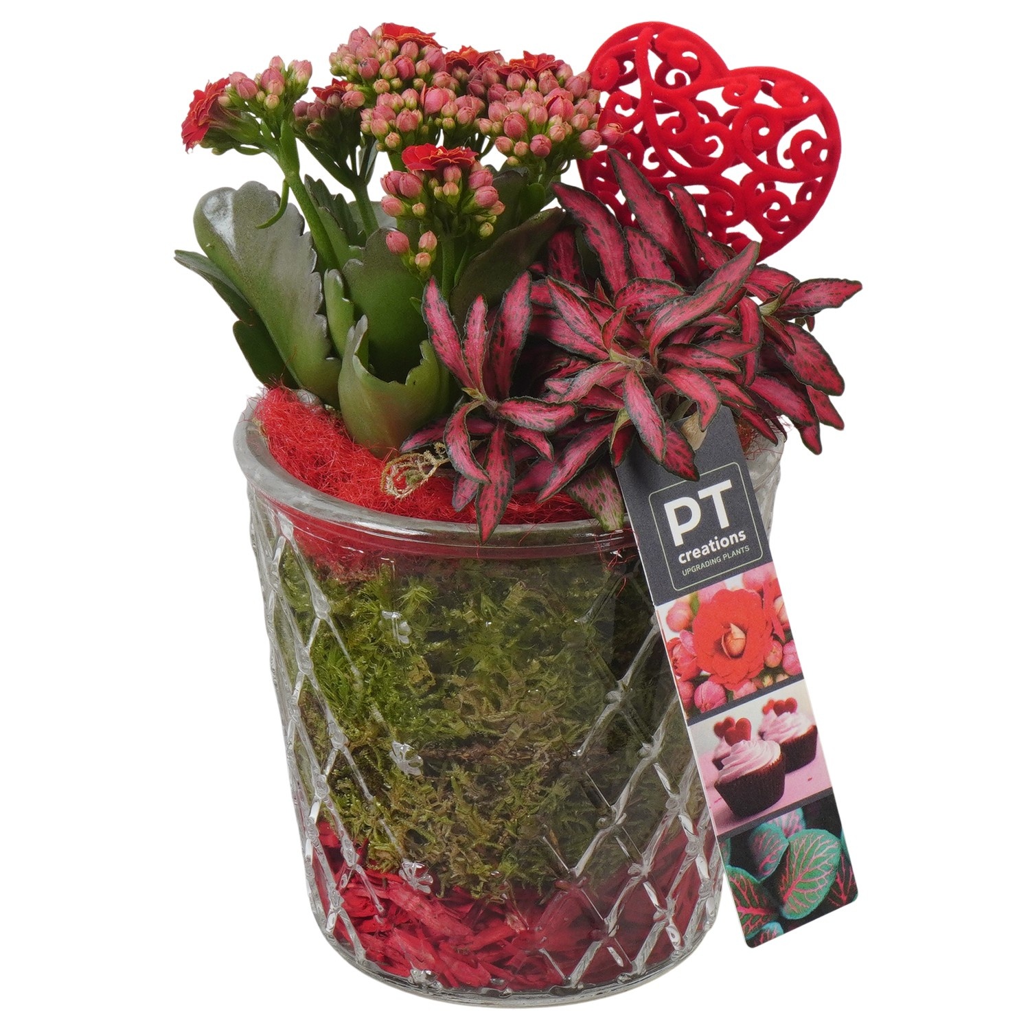 PTVMG4954 Arrangement Valentines-Mothersday in glas vaas, D 12