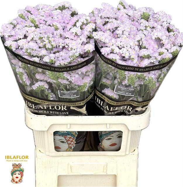 Статица Сандэй Пинк 80, шт.