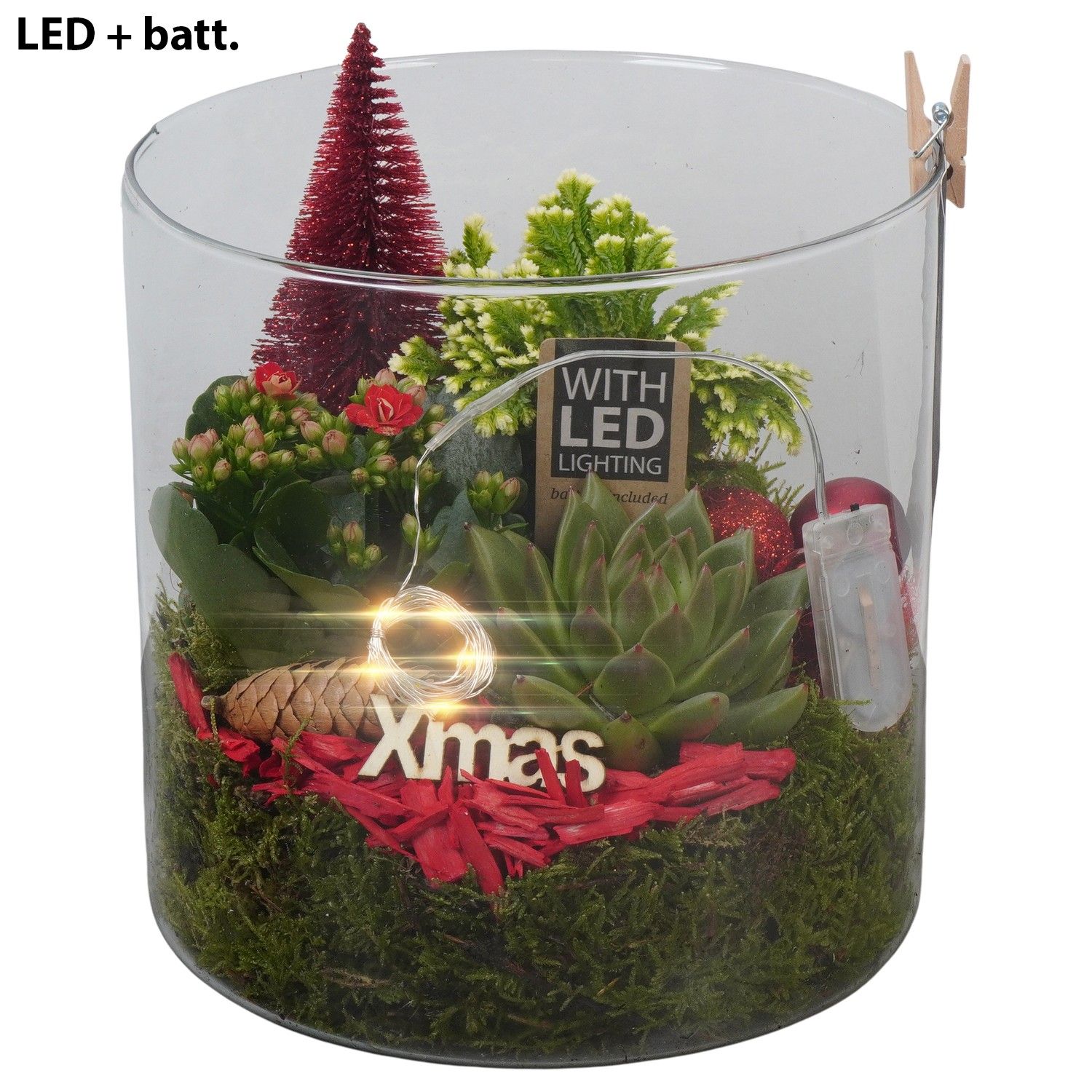 PTCHR7469 Arrangement Christmas Red in glazen pot, D 19 cm