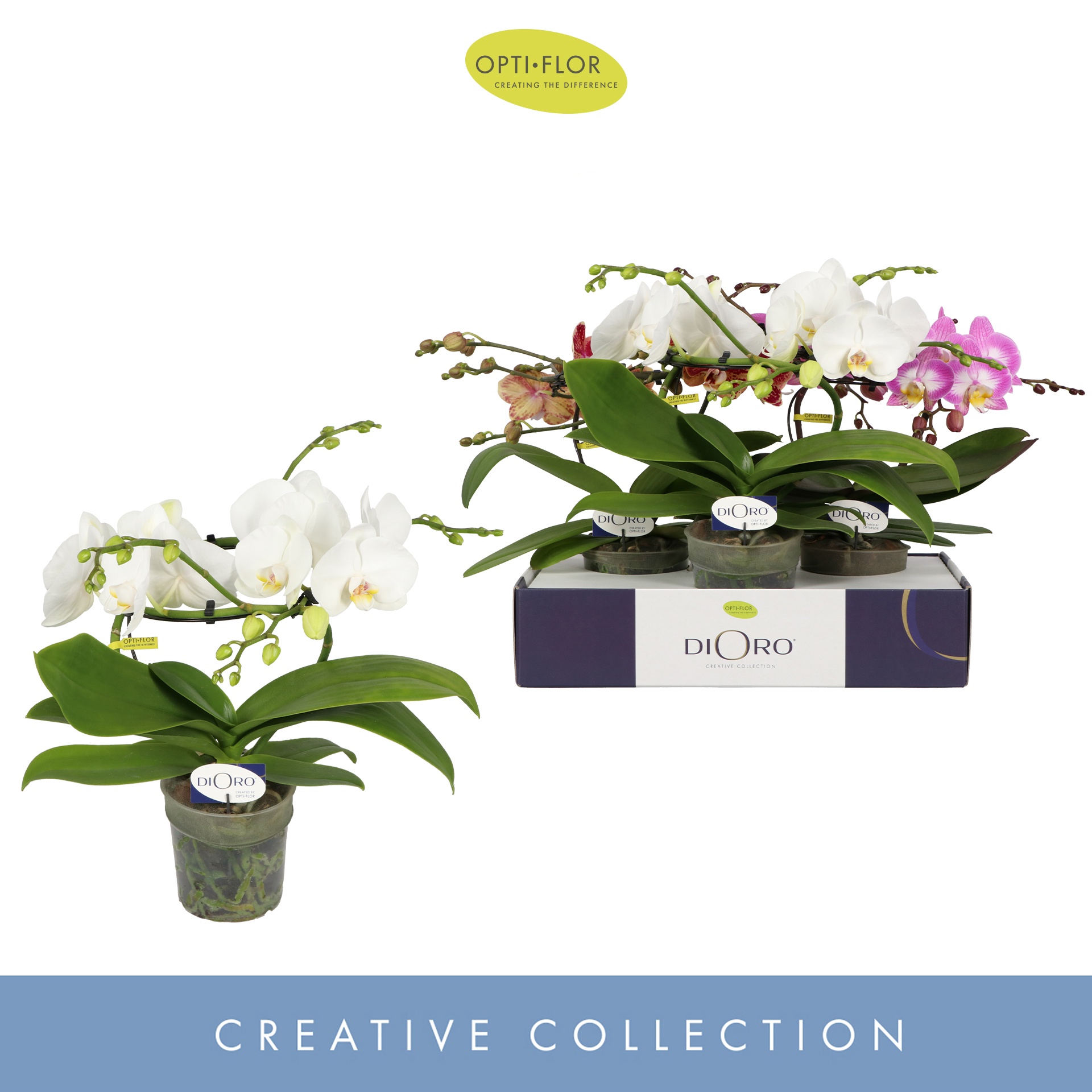 Dioro Mix 2 spike, D 12 cm