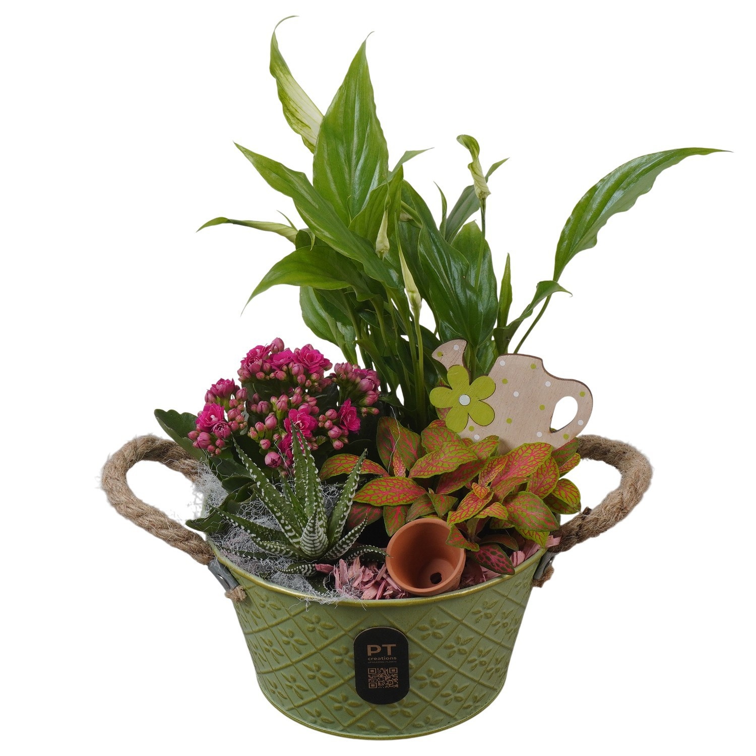 PTIB5329 Arrangement Indoor in metalen pot, D 18