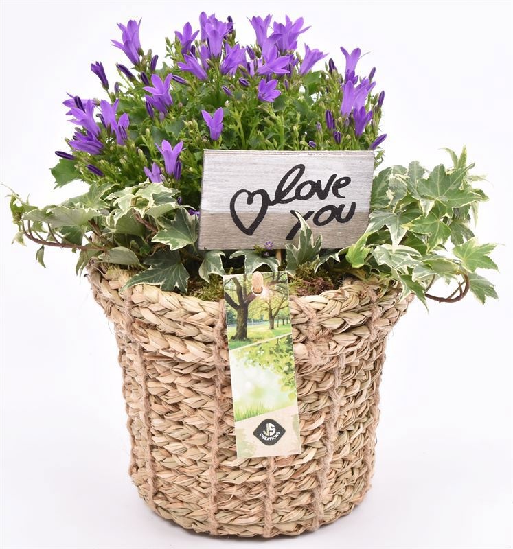 Touwmand met rand 17cm, D 17