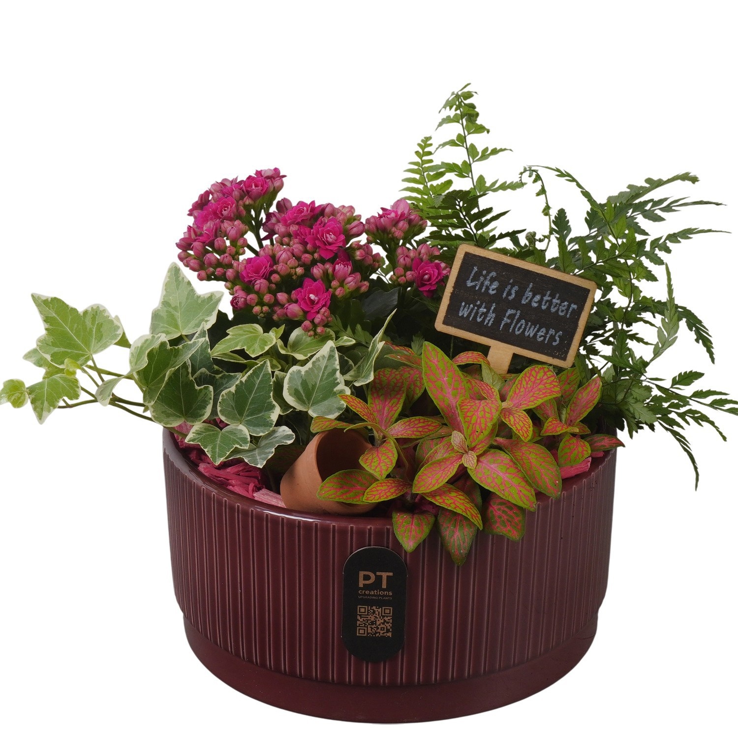 PTIB5122 Arrangement Indoor in keramiek schaal, D 19