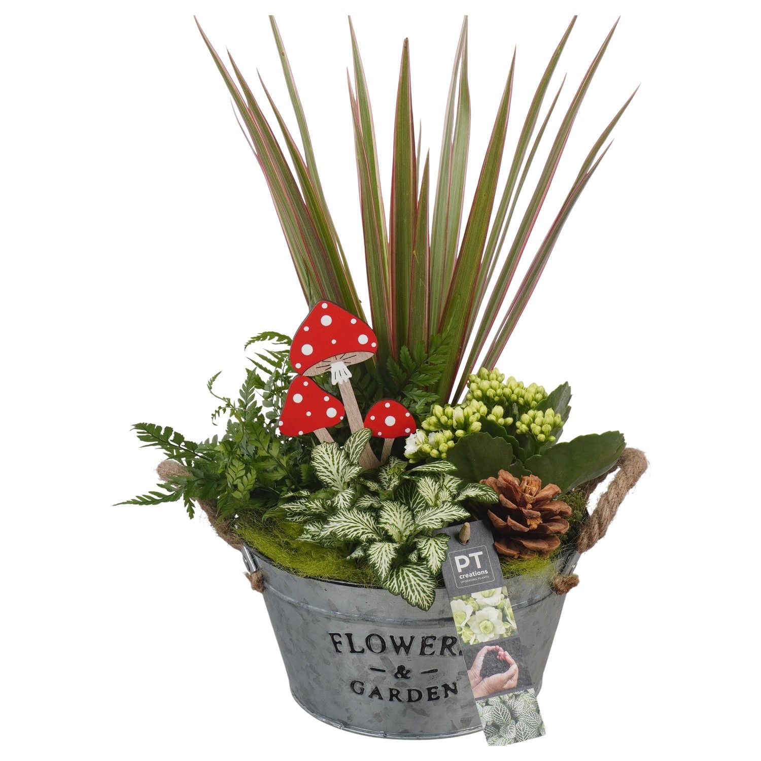 PTHI5332 Arrangement Herfst Indoor in metalen bak, D 19 cm PTHI5332 Arrangement Herfst Indoor in metalen bak, D 19 cm