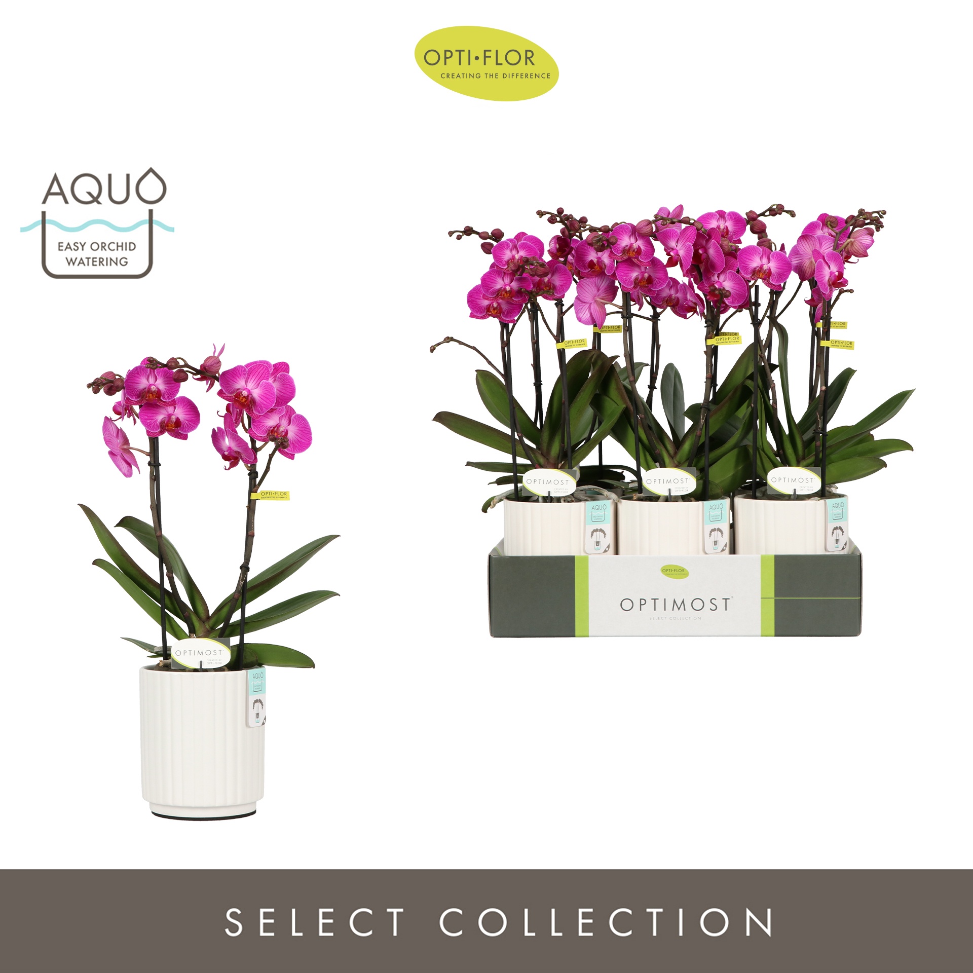 Optimost Roma 2 spike in Molise White Aquo, D 12 cm