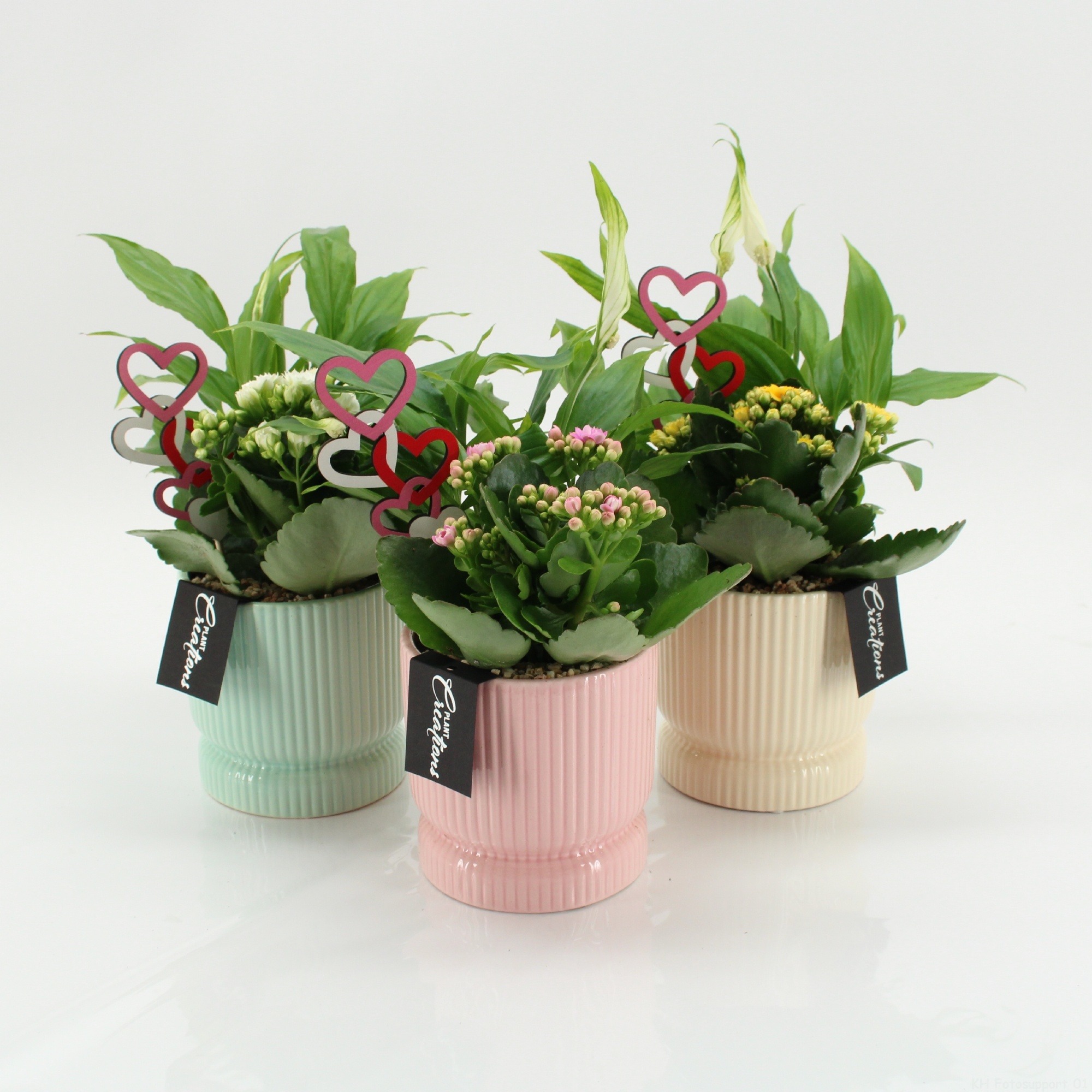 FRMD-2643M Bonne Fete Maman, D 11