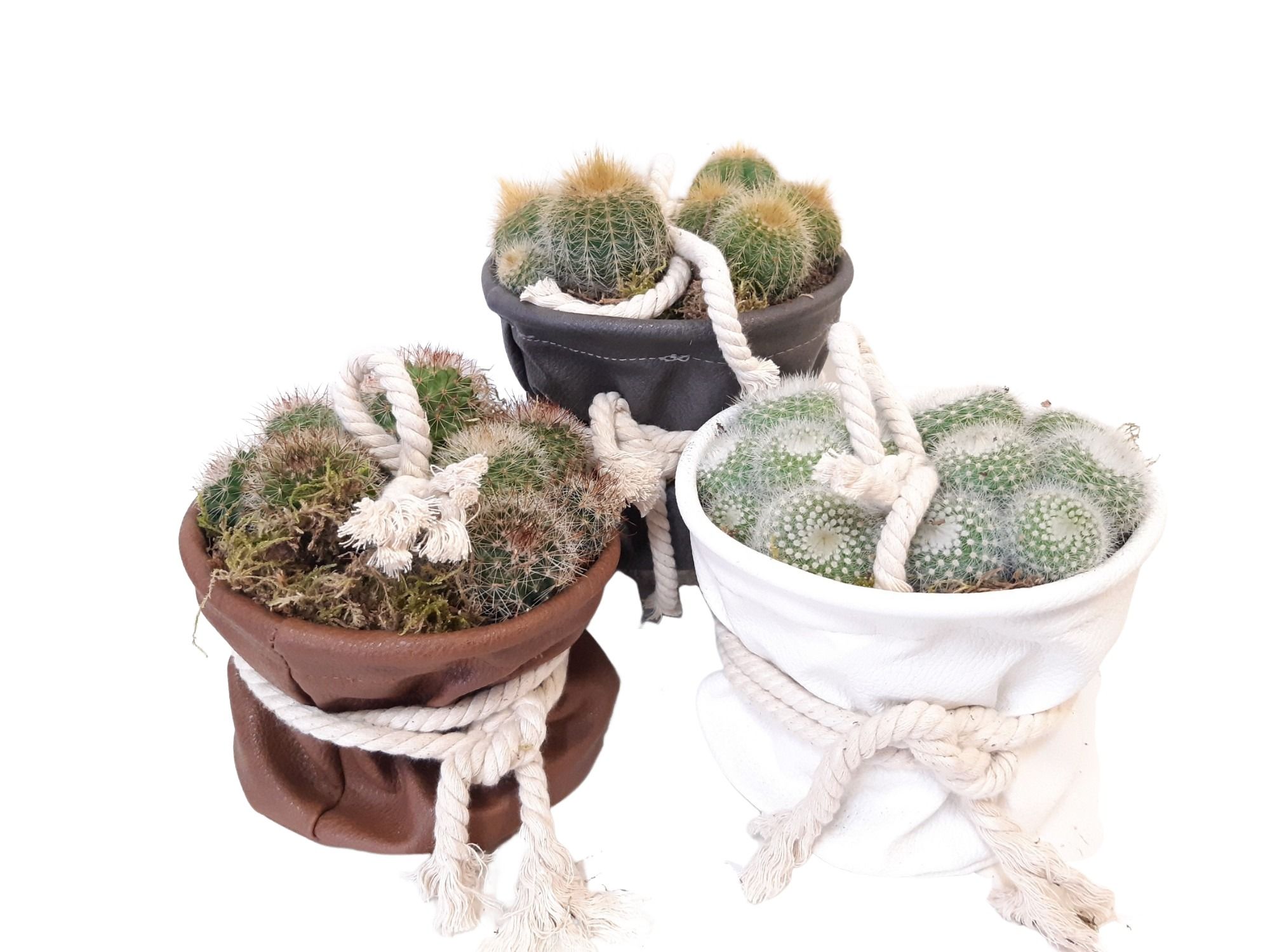 LB14CTS Leather Bag D14 Cactusmix, cottonrope, D 14