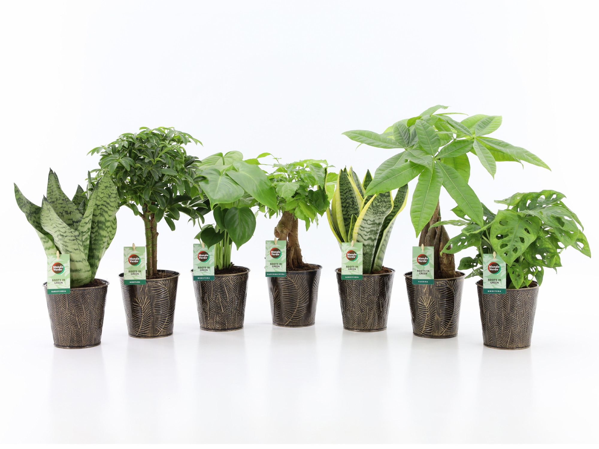 Easy to Care mix in Iron Leaf, D 13