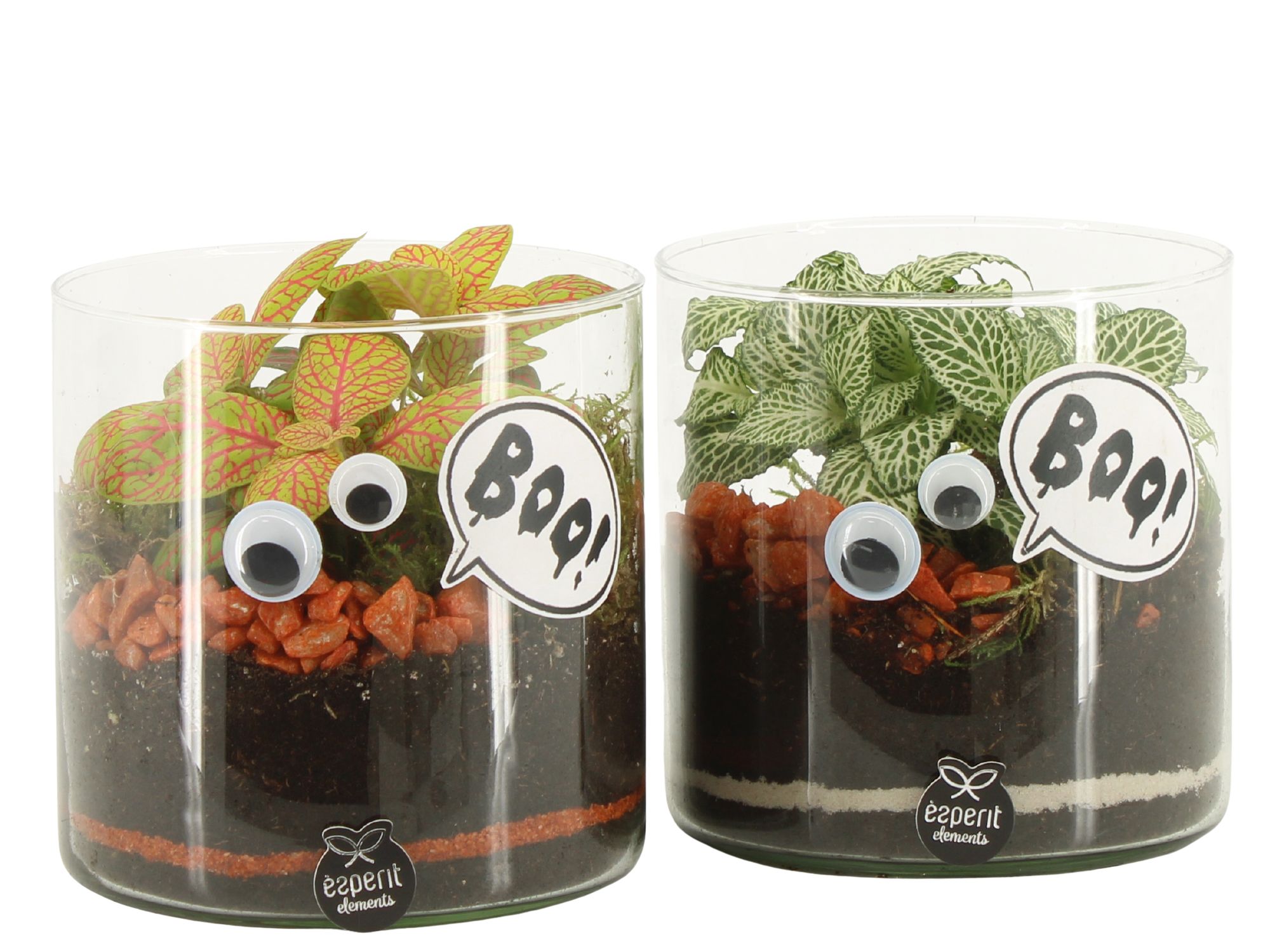 83277: Halloween arrangement, D 12 cm 83277: Halloween arrangement, D 12 cm