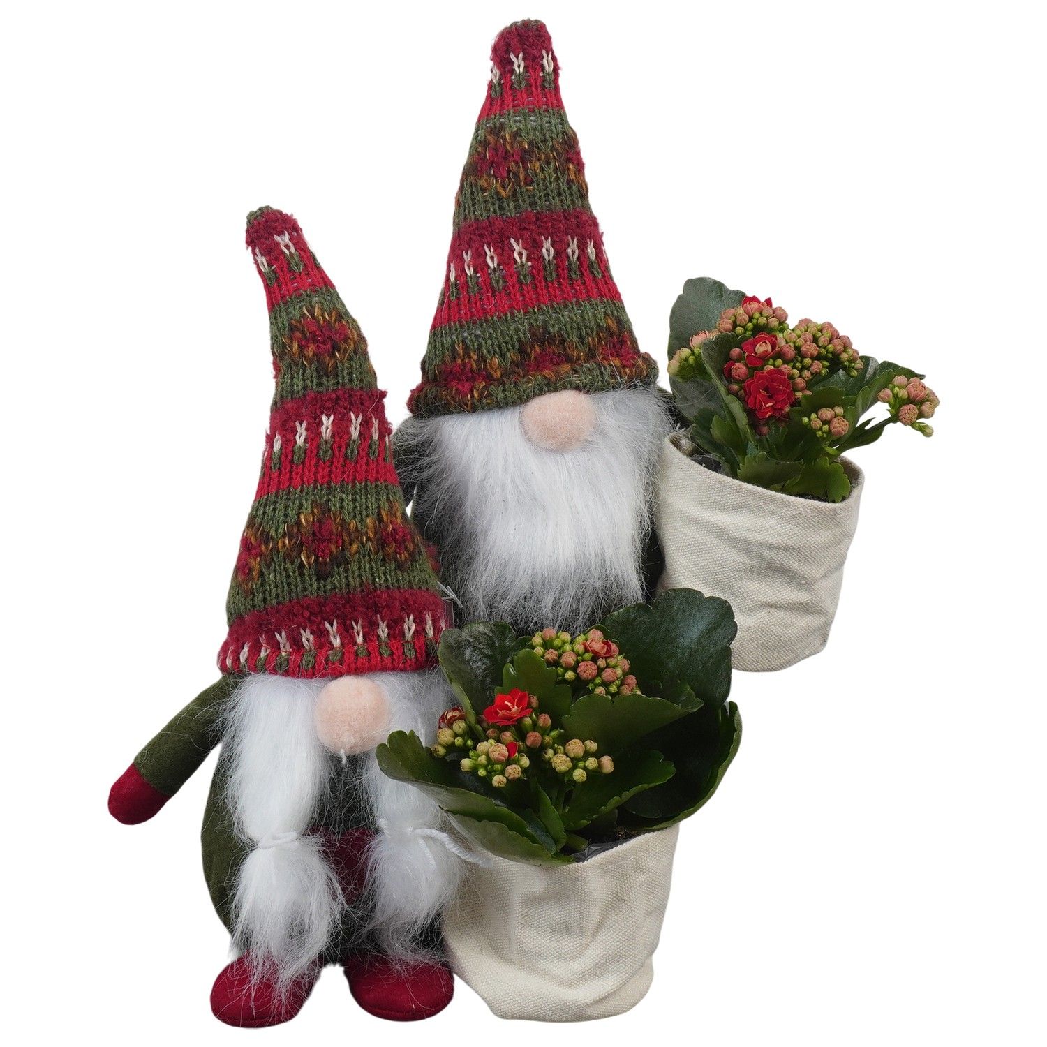 PTCHR7384 Arrangement Christmas Red in stoffen gnome, D 15 cm