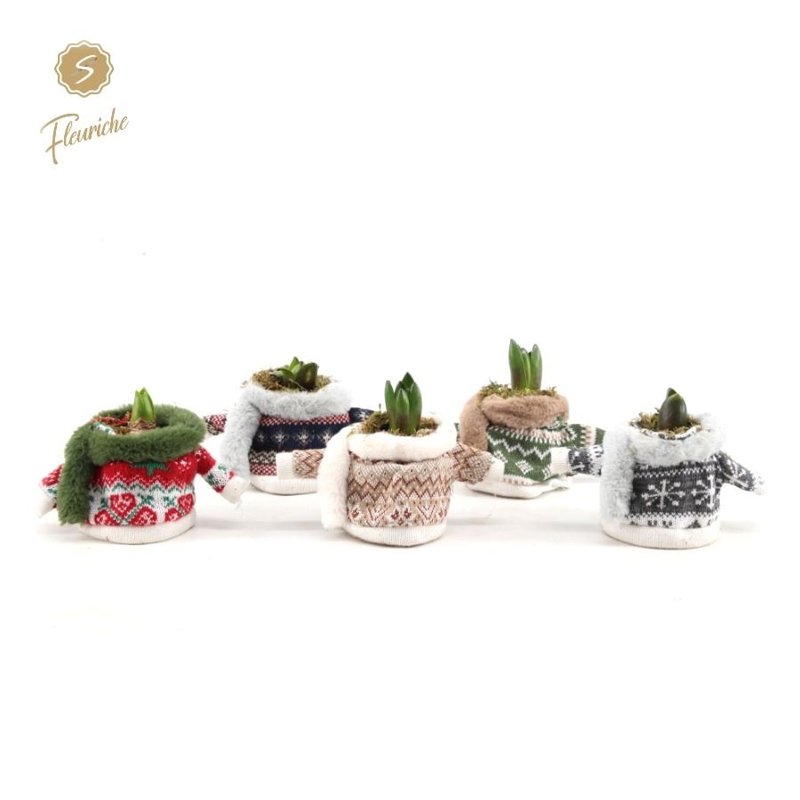 (1624) Hyacint Winter Sweater 1PP Mos, D 10 cm