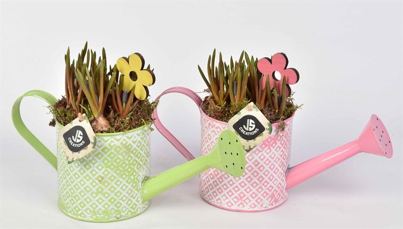 Zink gieter groen/roze 12cm, D 12