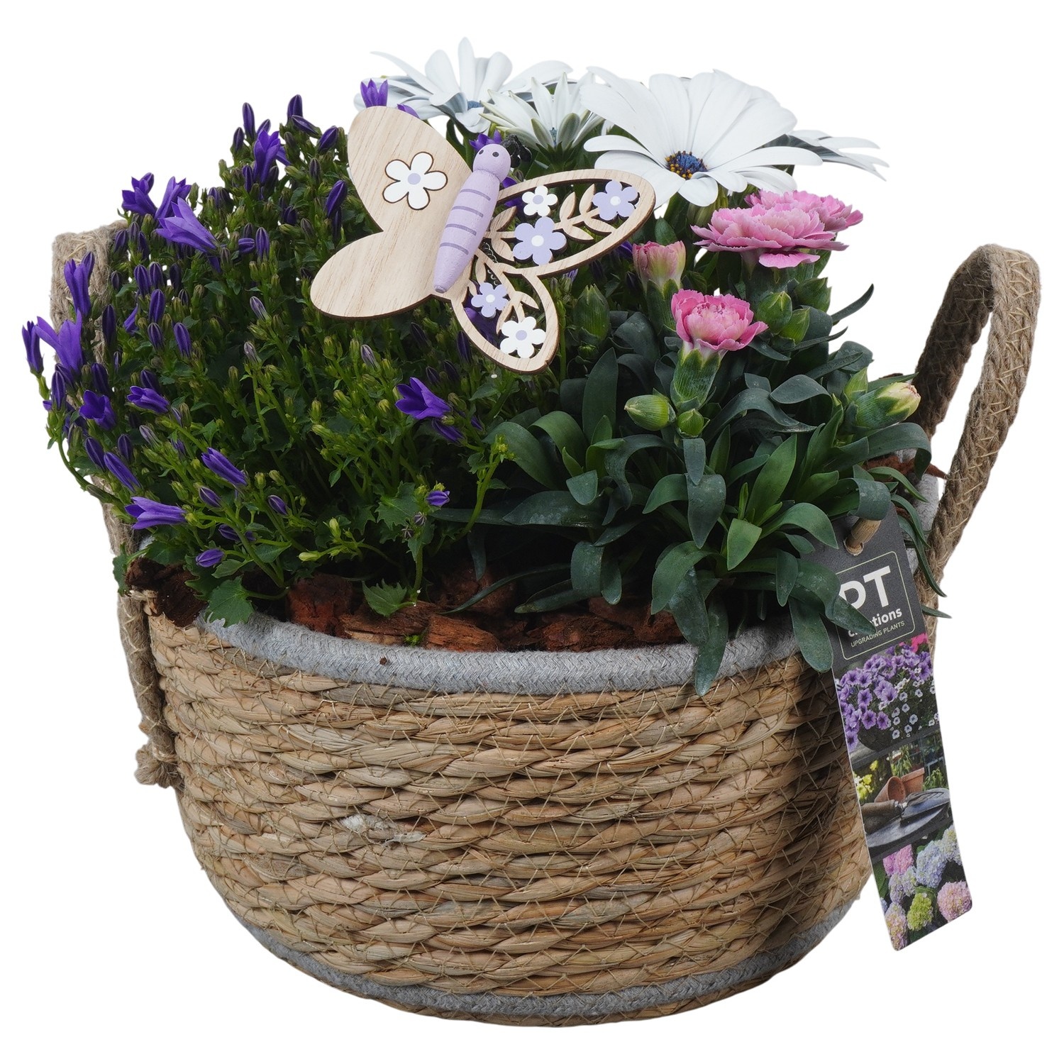 PTPP6940 Arrangement Patio in rieten mand, D 22