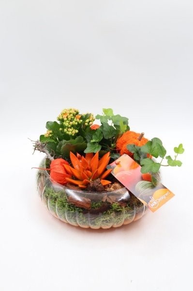 Herfst, glasschaal geribbeld, D 24 cm Herfst, glasschaal geribbeld, D 24 cm