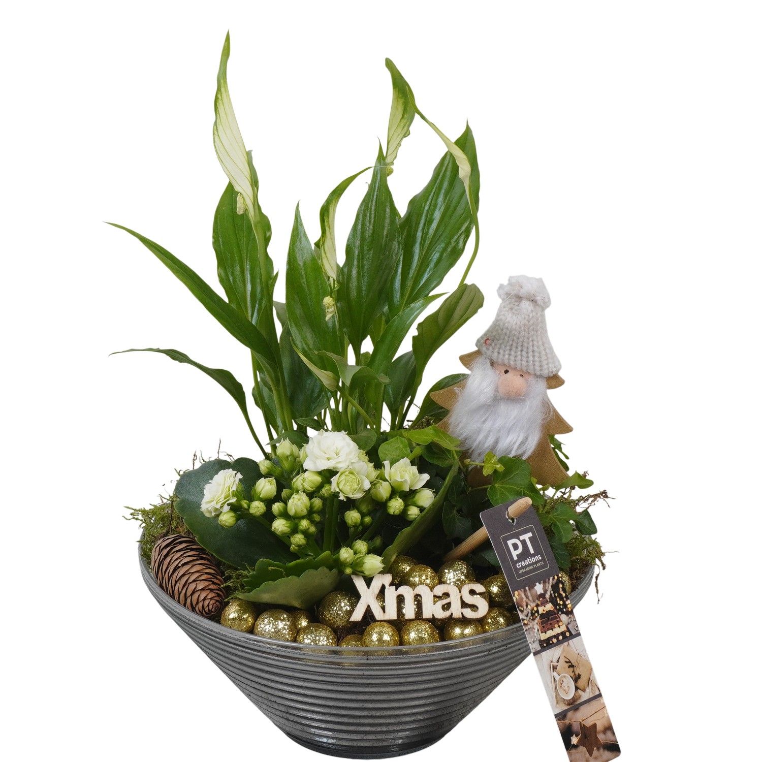 PTCHG5715 Arrangement Christmas Gold in glas schaal, D 19 cm