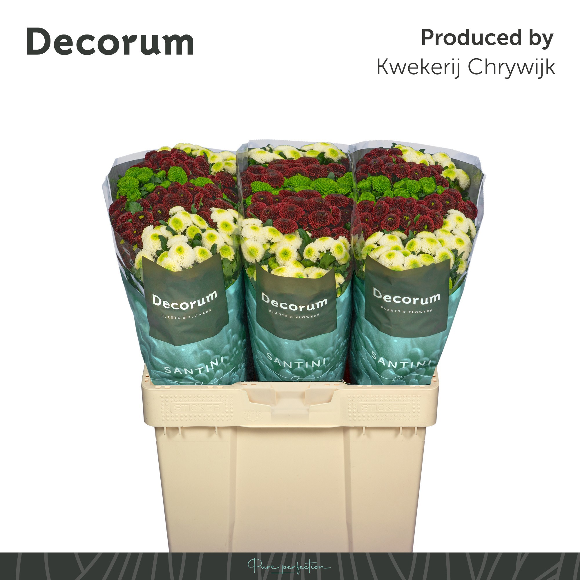 Сантини Помпон Микс в пачке, шт.