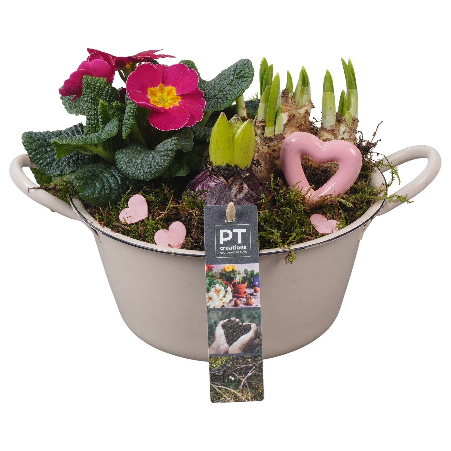 PTVO3613 Arrangement Valentine Outdoor in metalen schaal, D 19