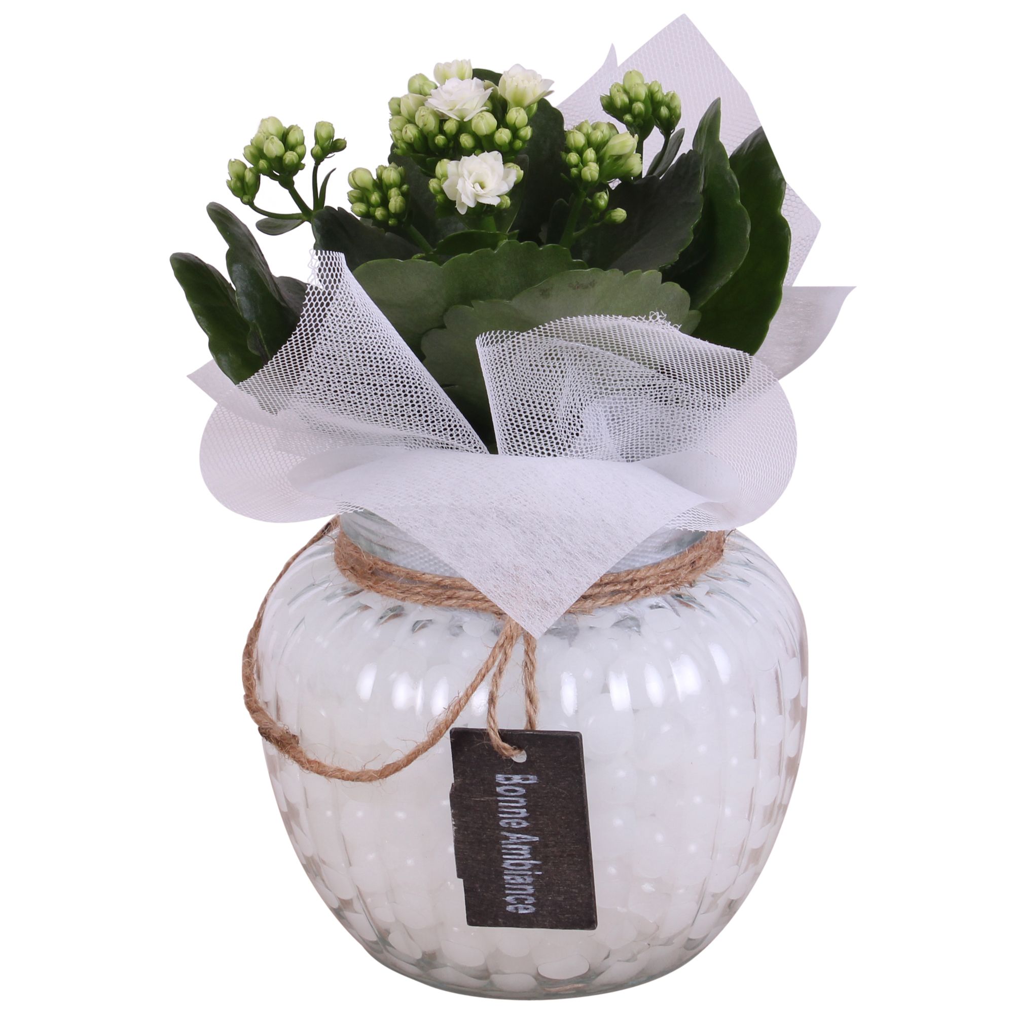 Yearround Arr. Indoor Glass Round relief Glass Ø15cm 1PP, D 15