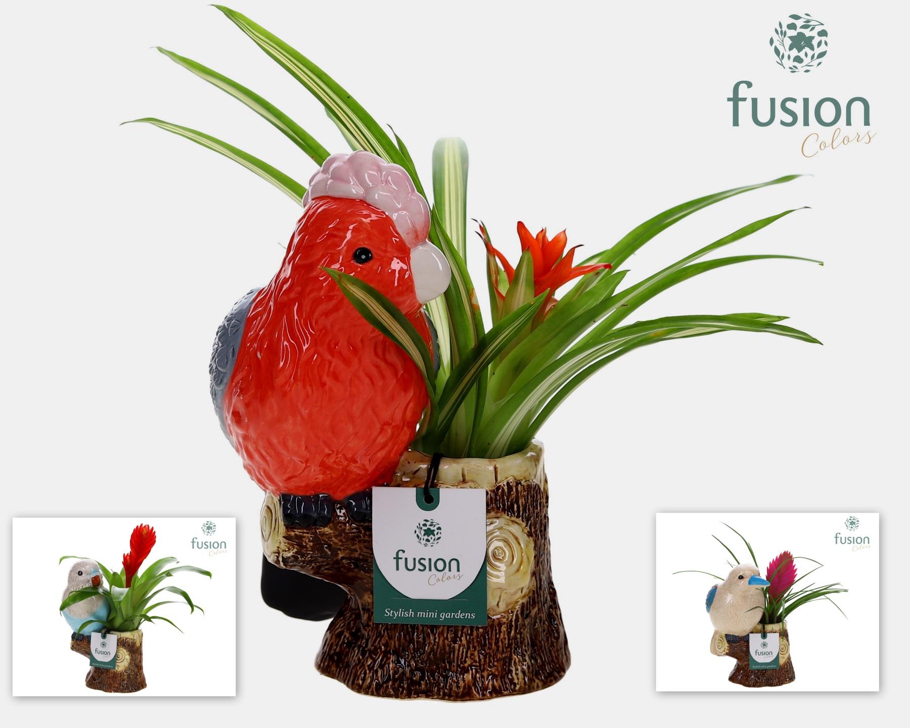 Keramiek vogel op boomstam met Bromelia, D 15