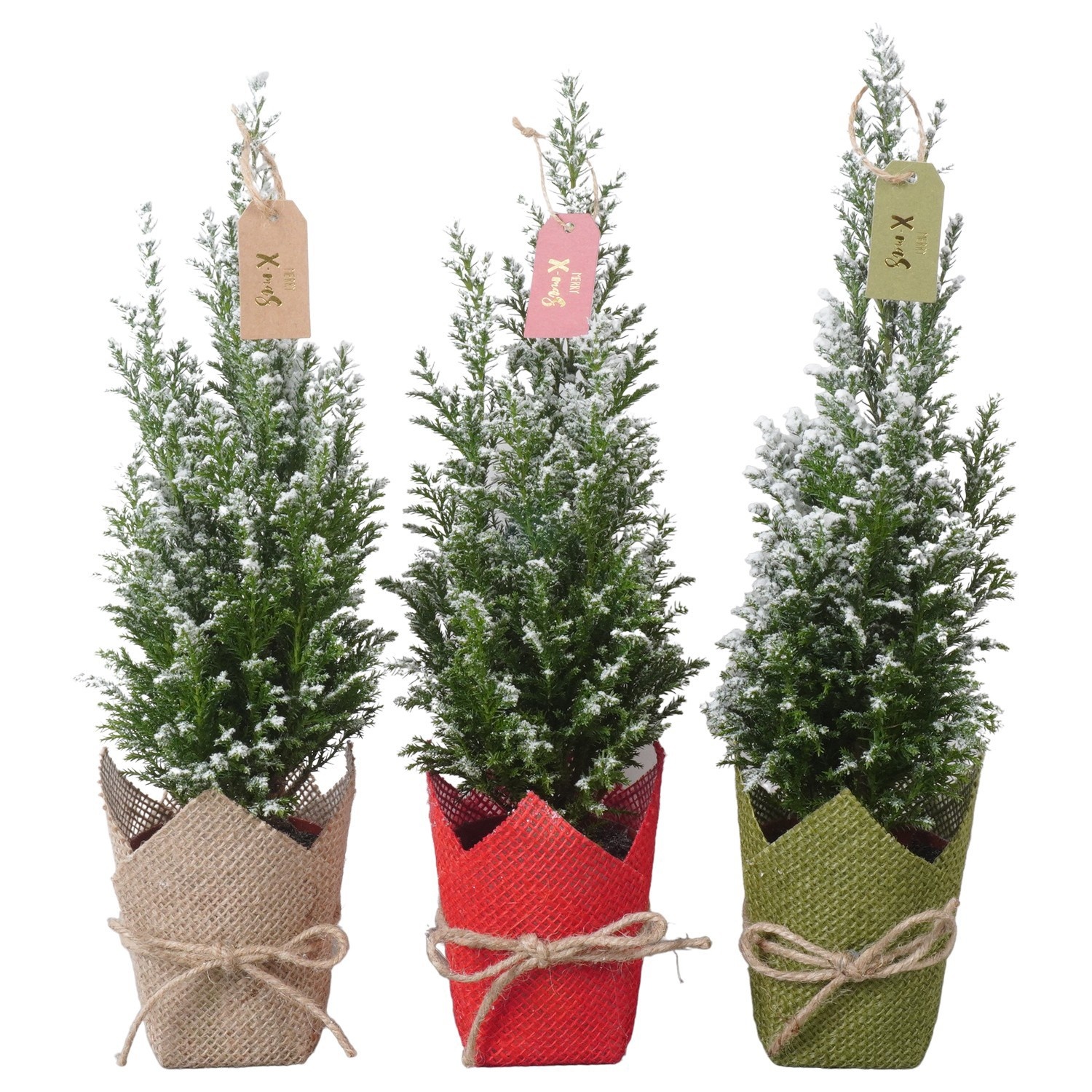 PTK26724 Ellwoodii met sneeuw in jute mix met decoratie, D 9