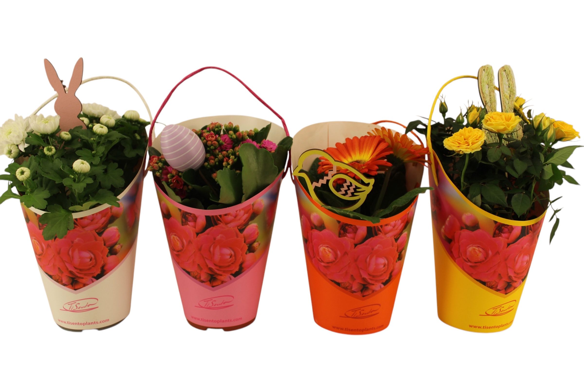 Bloeimix 12cm | Pasen | Giftcover + steker, D 12