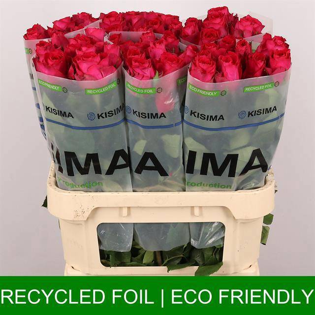 Роза од. Мадам Цериз 80, шт.