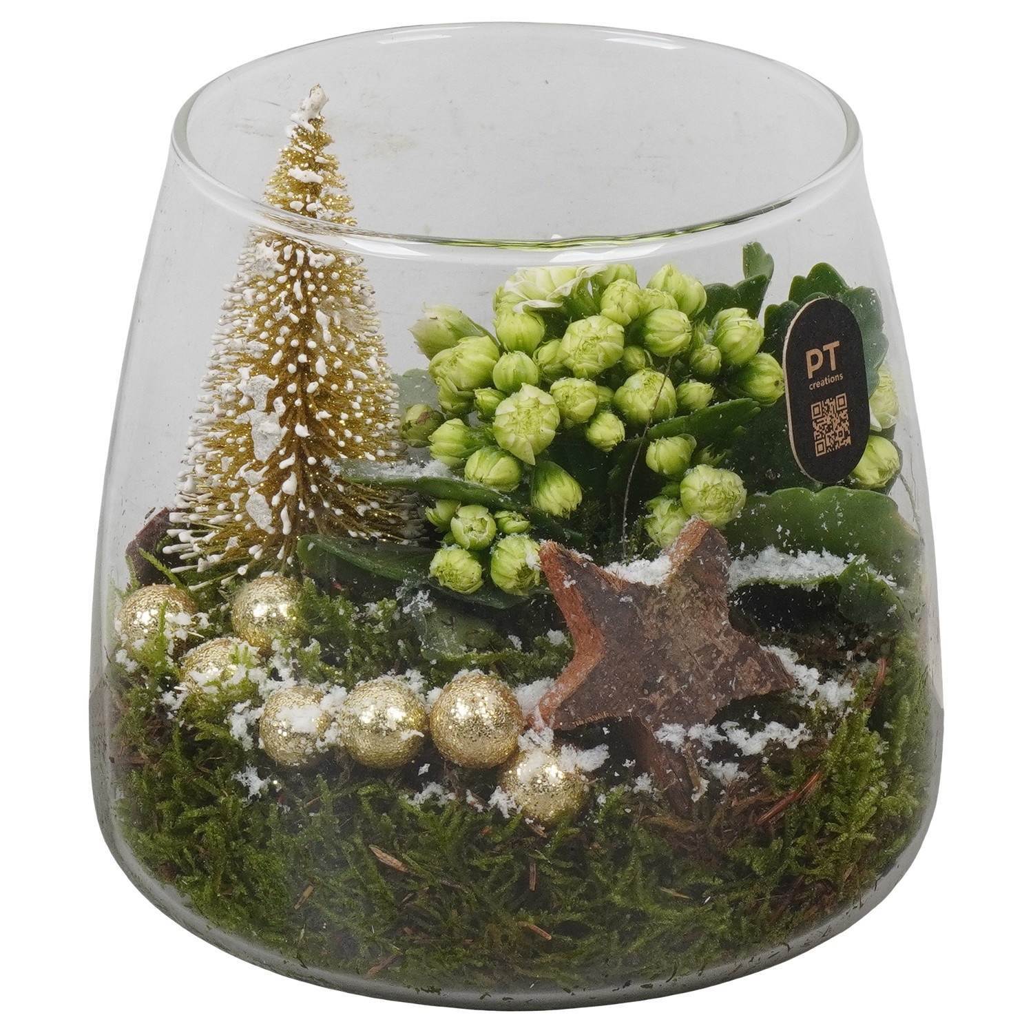 PTCHG4621 Arrangement Christmas Gold in glazen vaas, D 14