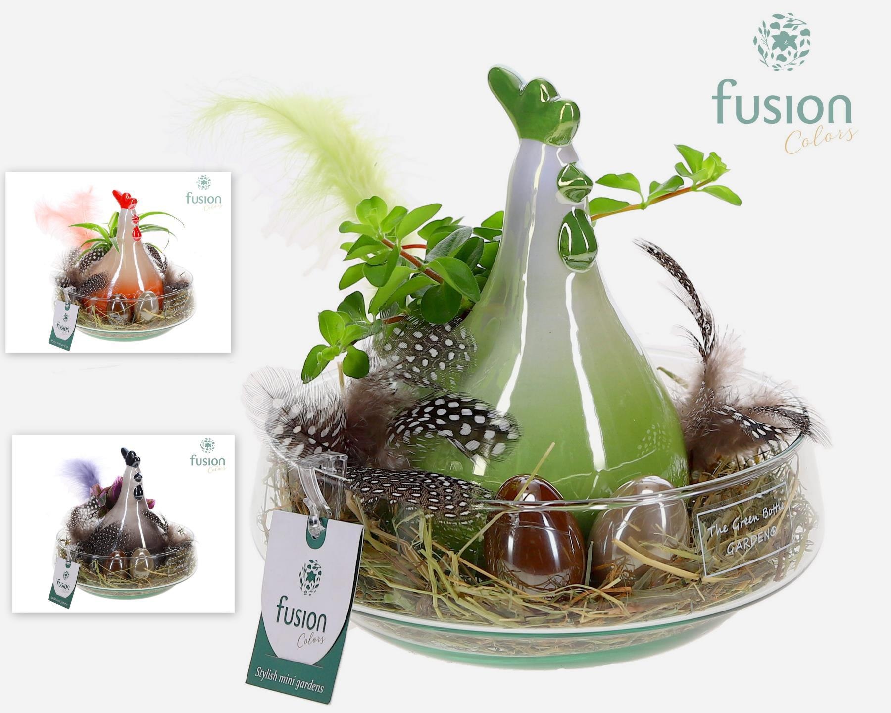 Green Bottle Iris Medium Pasen met arrangement, D 19