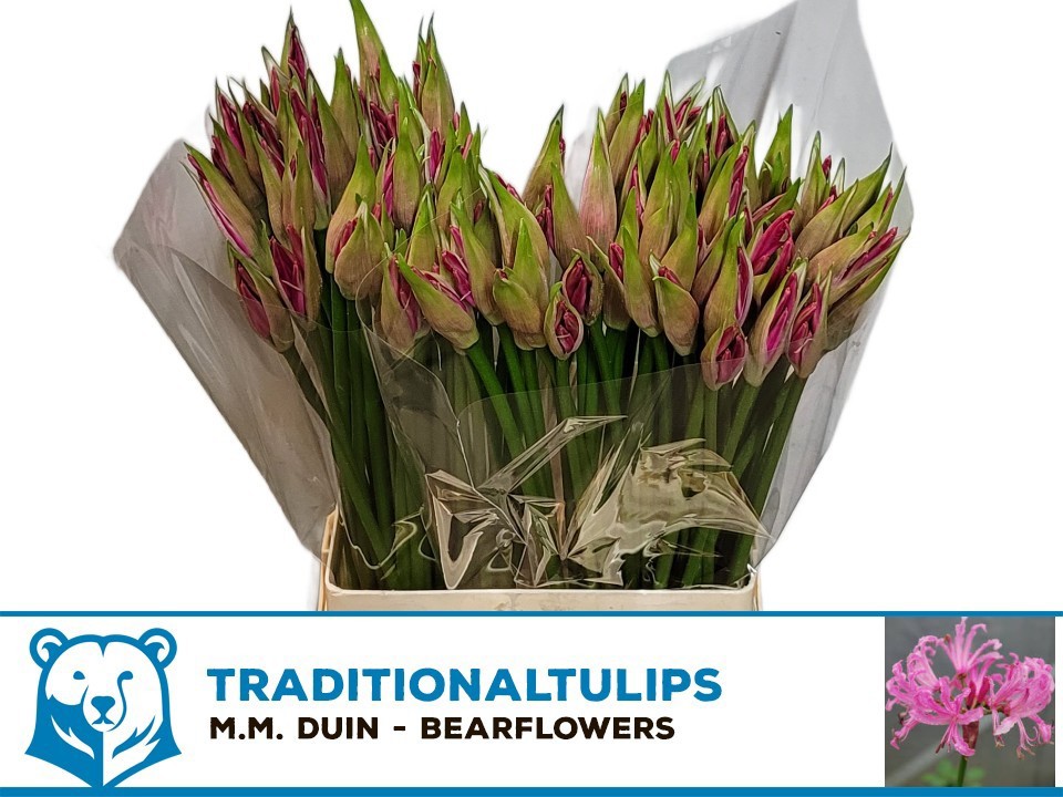 Нерине Рас Ван Рун 55, шт.