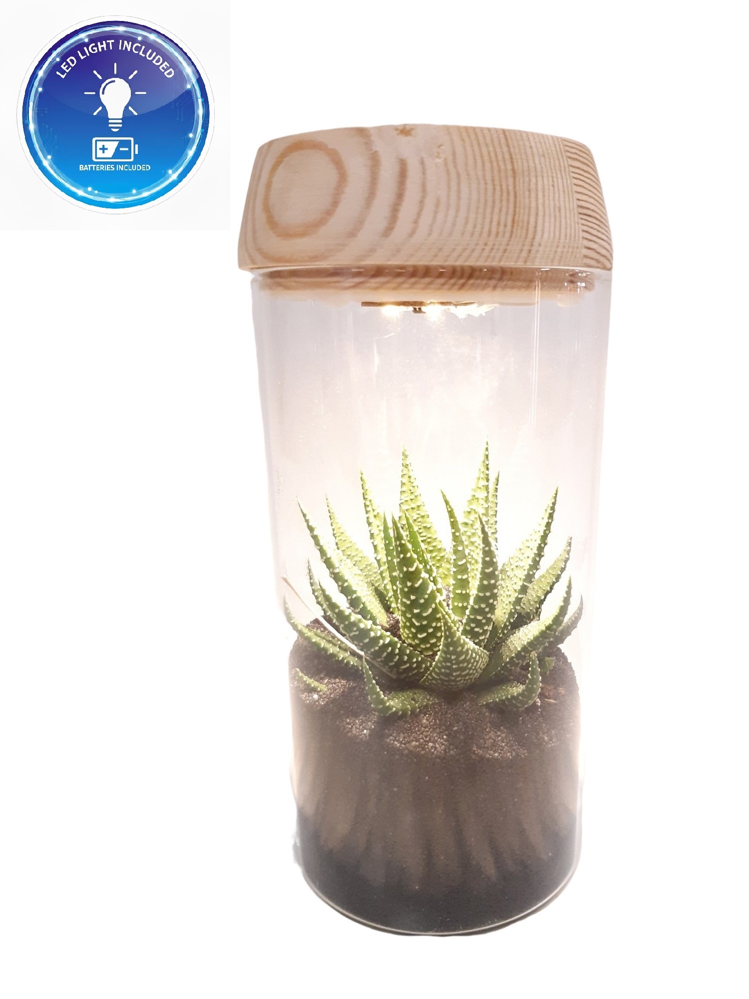 LV18 Glasvaasje + houtdeksel en LED, D 8