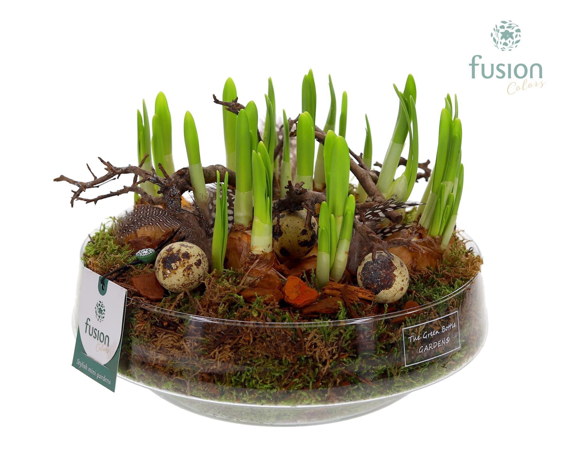 Green Bottle Iris Large met Pasen arrangement, D 24