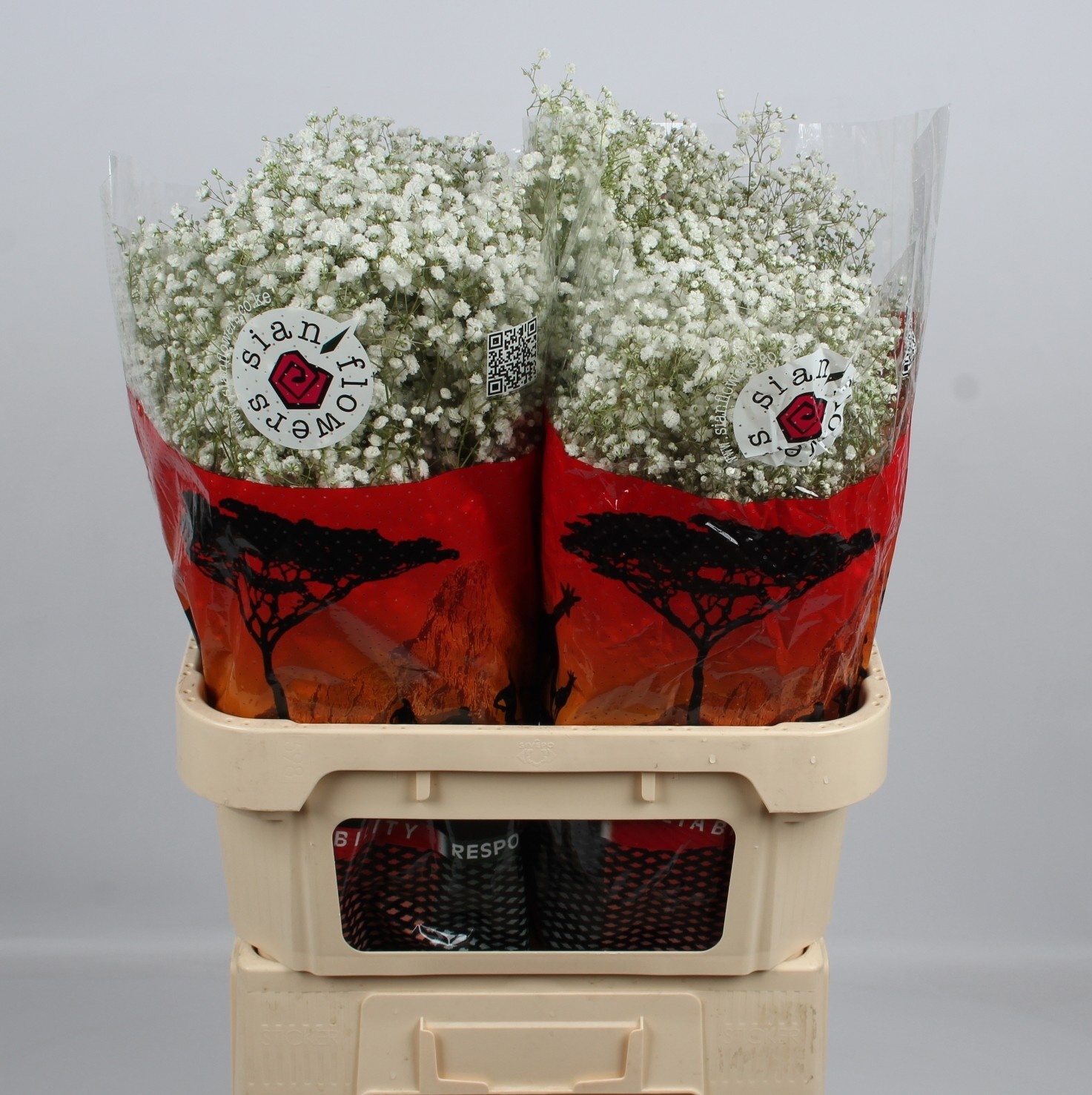 Гипсофила Экселенс 80, шт.