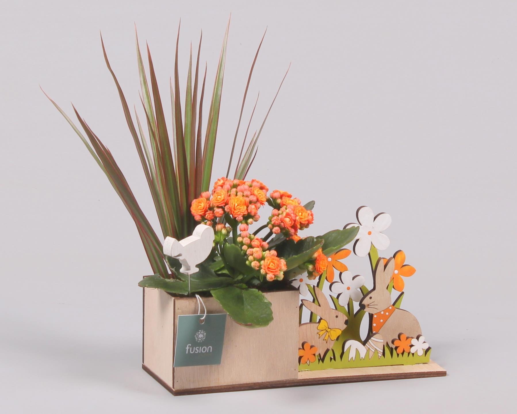 Pasen Haas hout met Arrangement, D 23