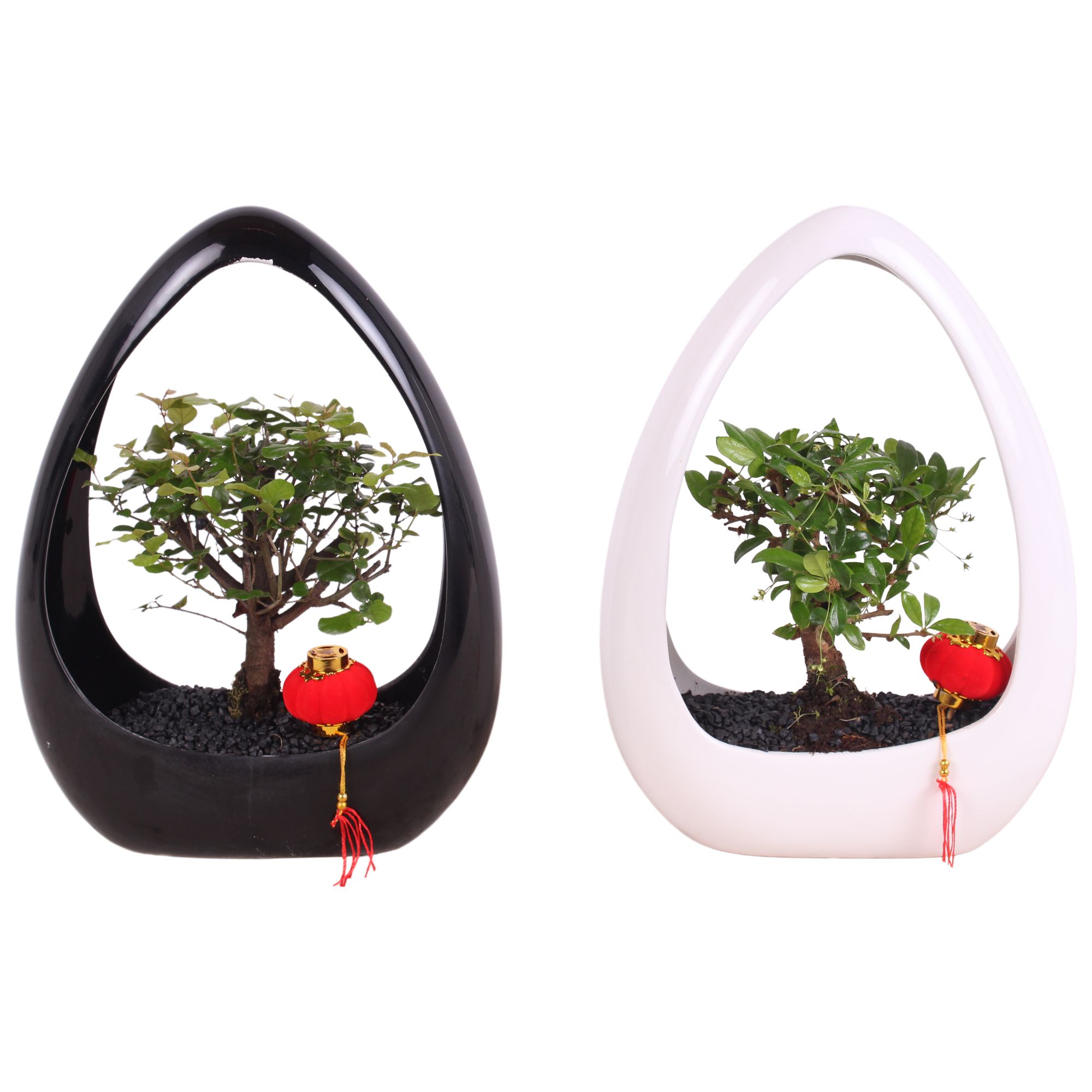 Bonsai Mixed pot Ø15cm in Ikebana Ceramic in Black/White Ø23cm, D 23