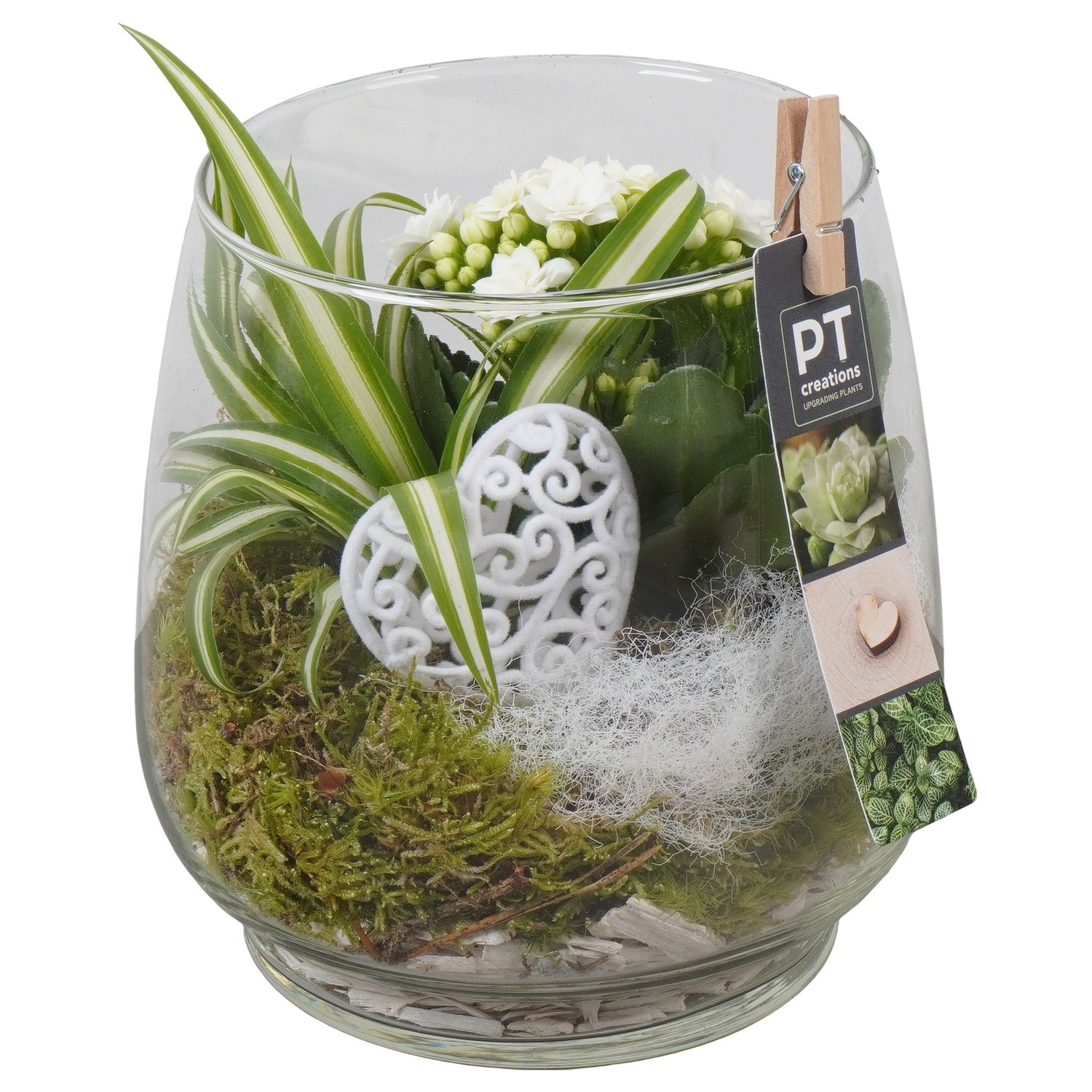 PTVMG4949 Arrangement Valentines-Mothersday in glas vaas, D 16