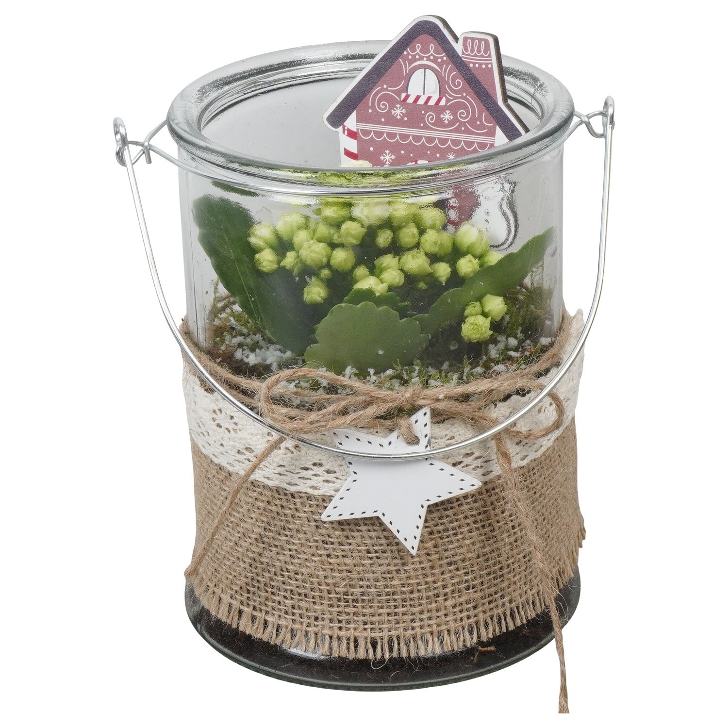 PTCHG4633 Arrangement Christmas Gold in glazen vaas, D 14