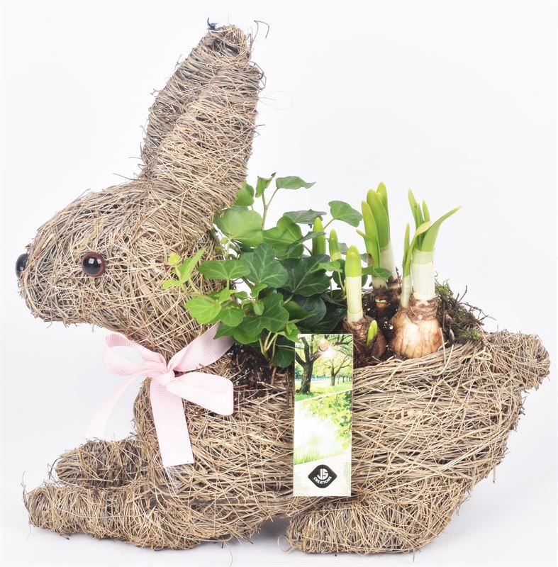 Stro haas 30x10cm, D 30