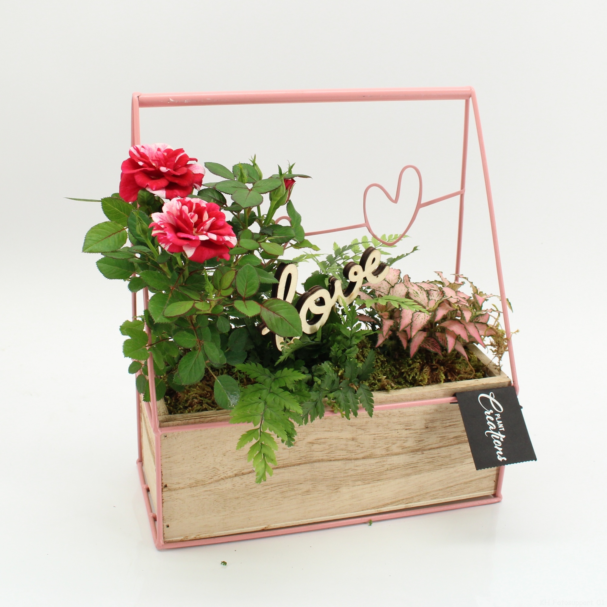 RMCR-2612 Romantic Essentials, D 23